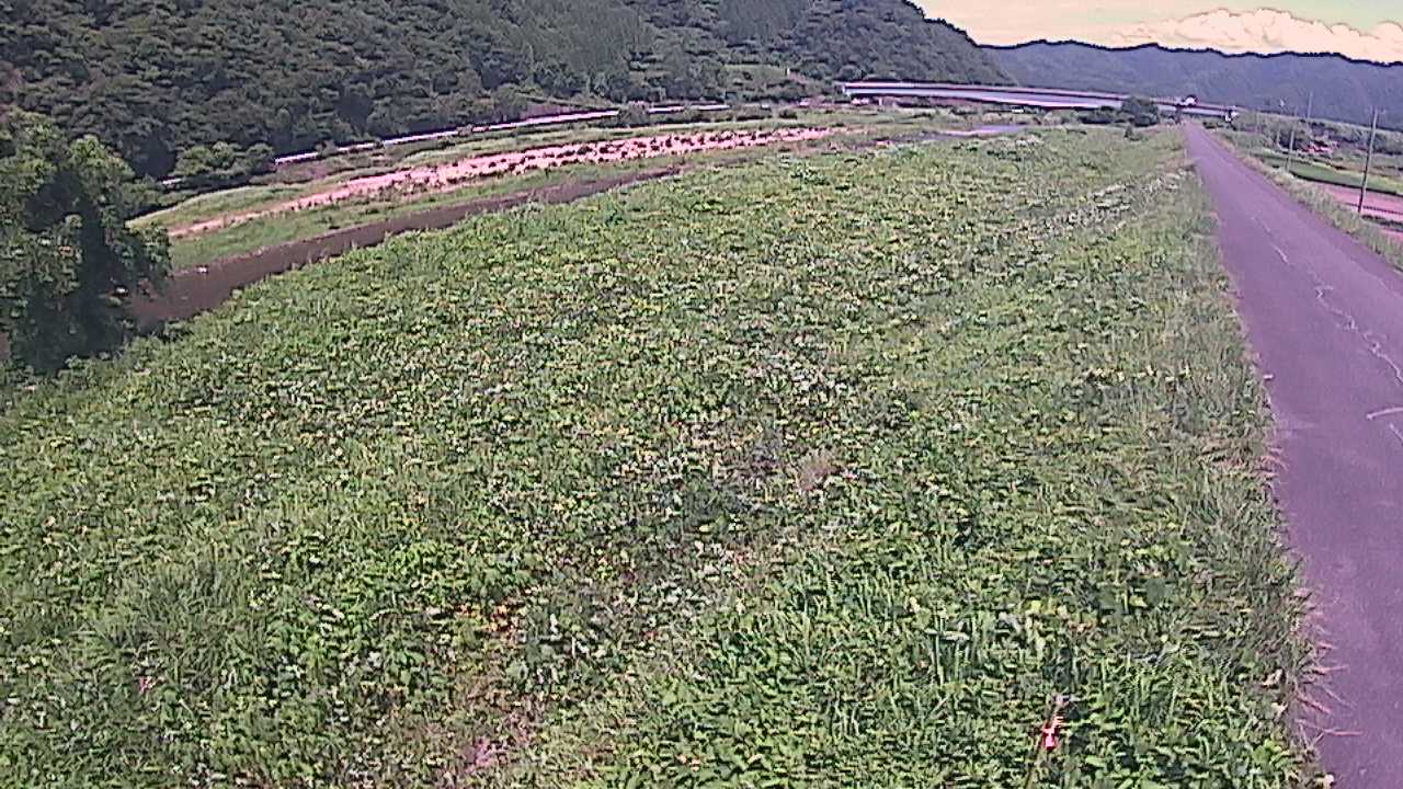 千代川　19ｋｍ左岸