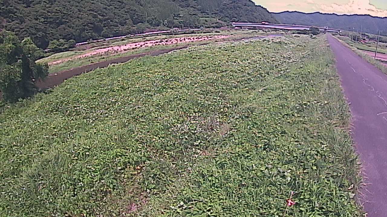 千代川　19ｋｍ左岸
