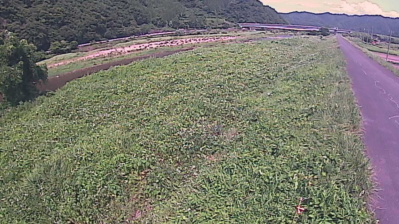 千代川　19ｋｍ左岸