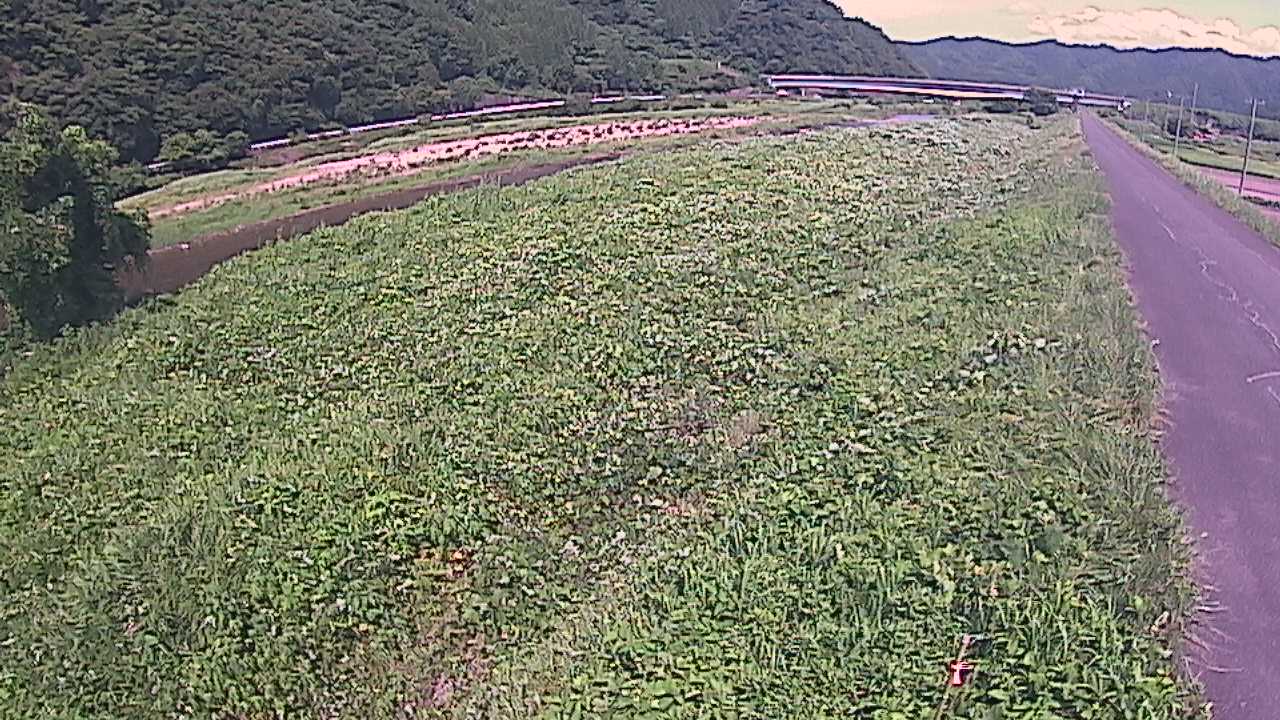 千代川　19ｋｍ左岸