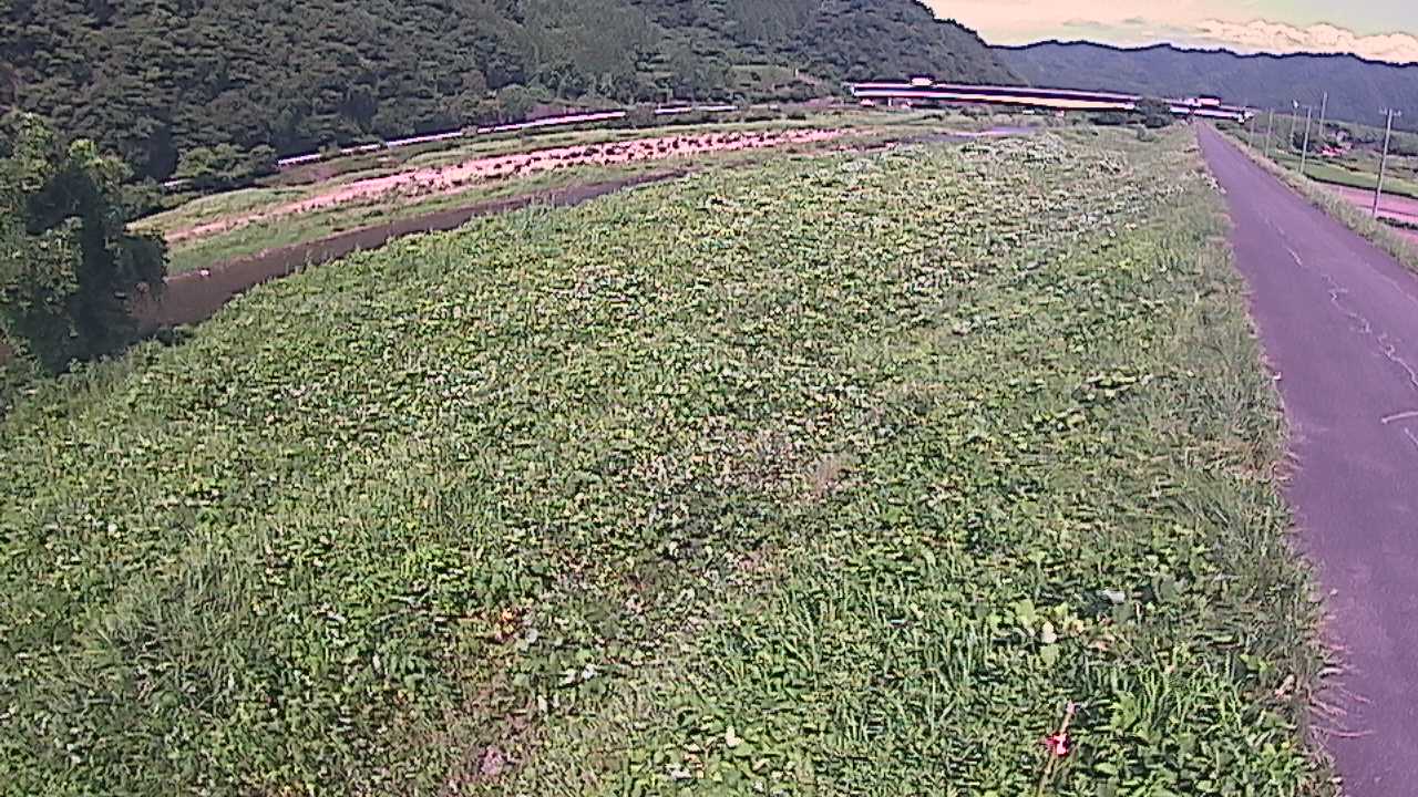 千代川　19ｋｍ左岸