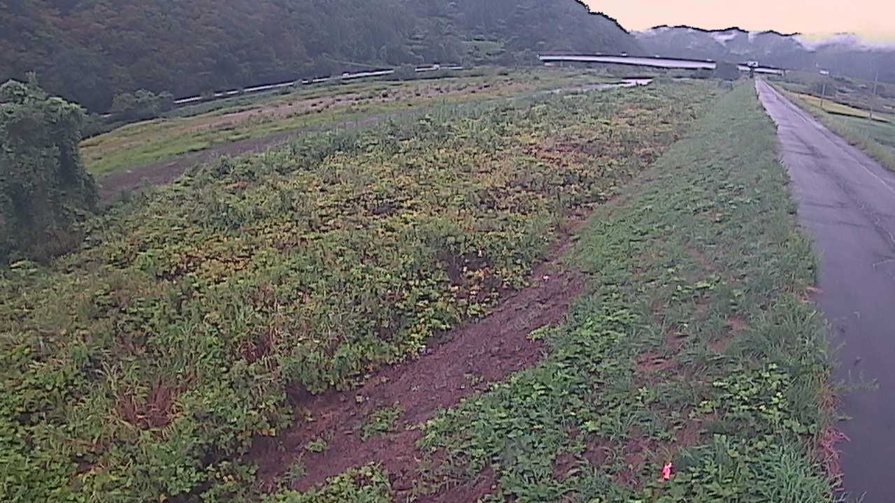 千代川　19ｋｍ左岸