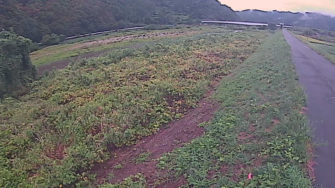 千代川　19ｋｍ左岸