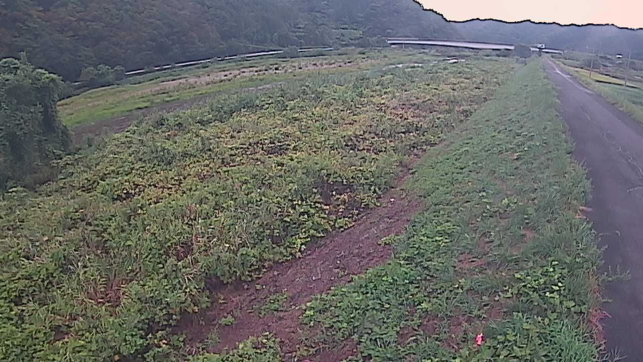 千代川　19ｋｍ左岸