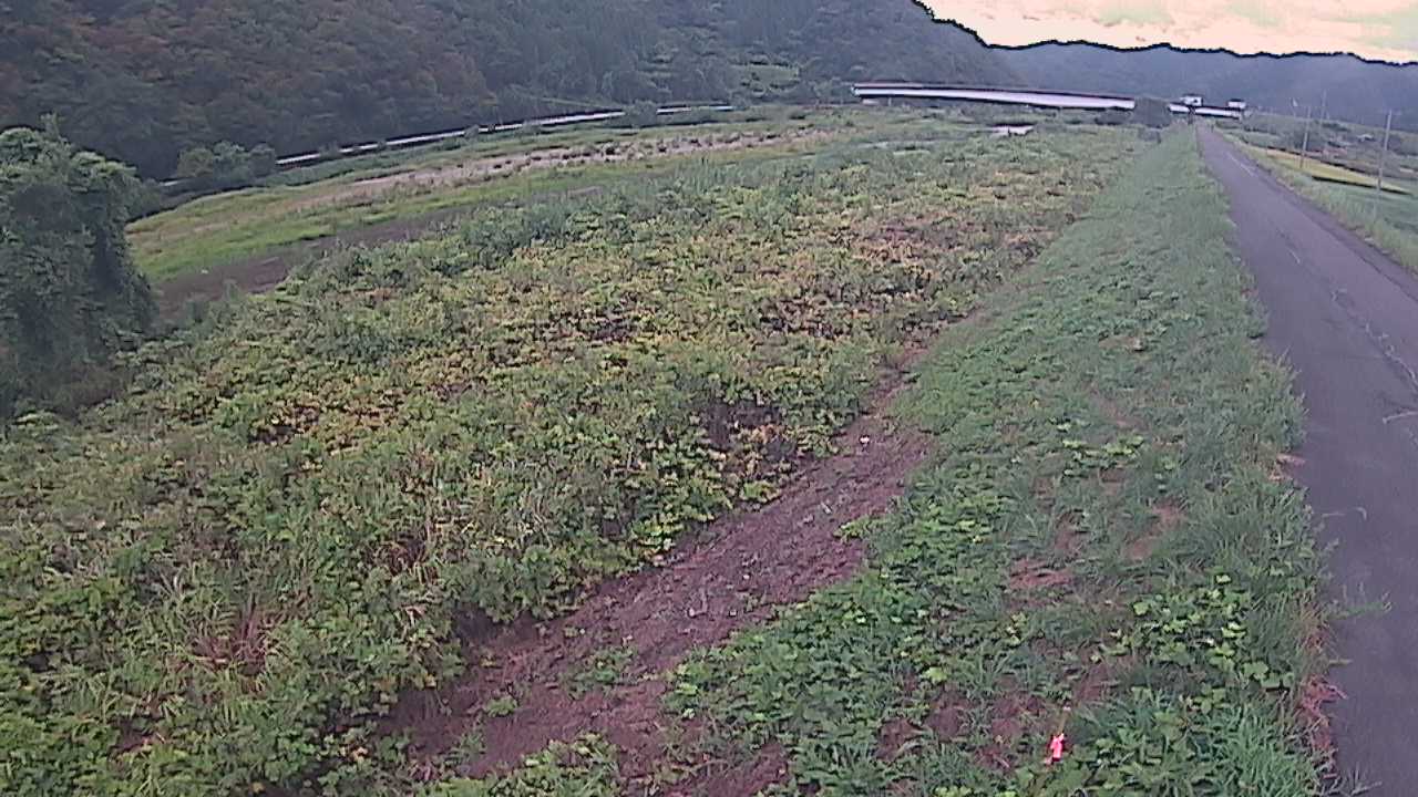 千代川　19ｋｍ左岸