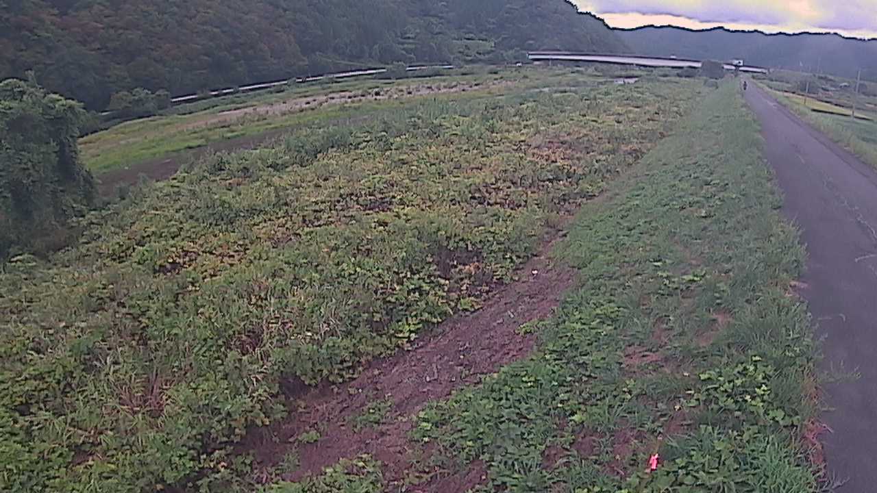 千代川　19ｋｍ左岸