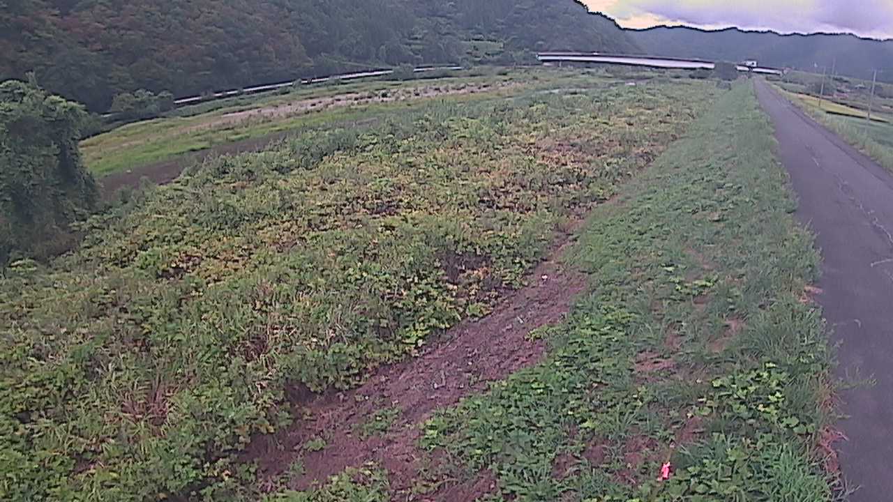 千代川　19ｋｍ左岸