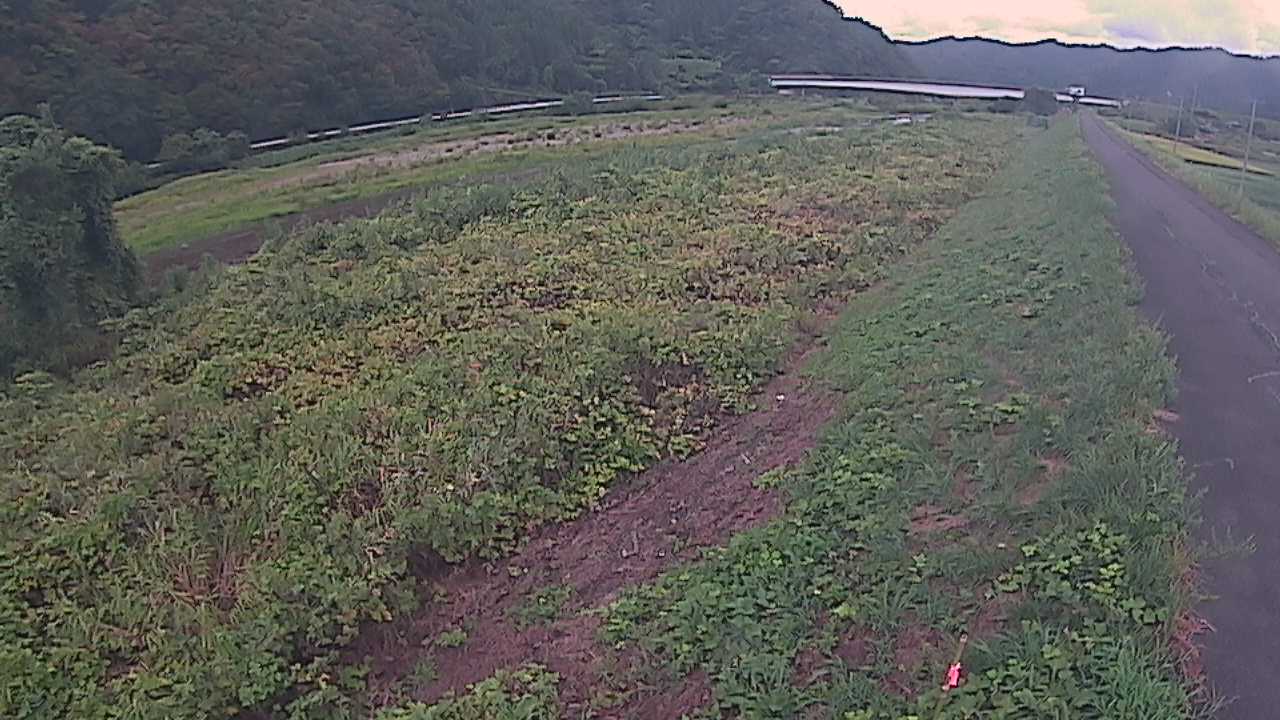 千代川　19ｋｍ左岸