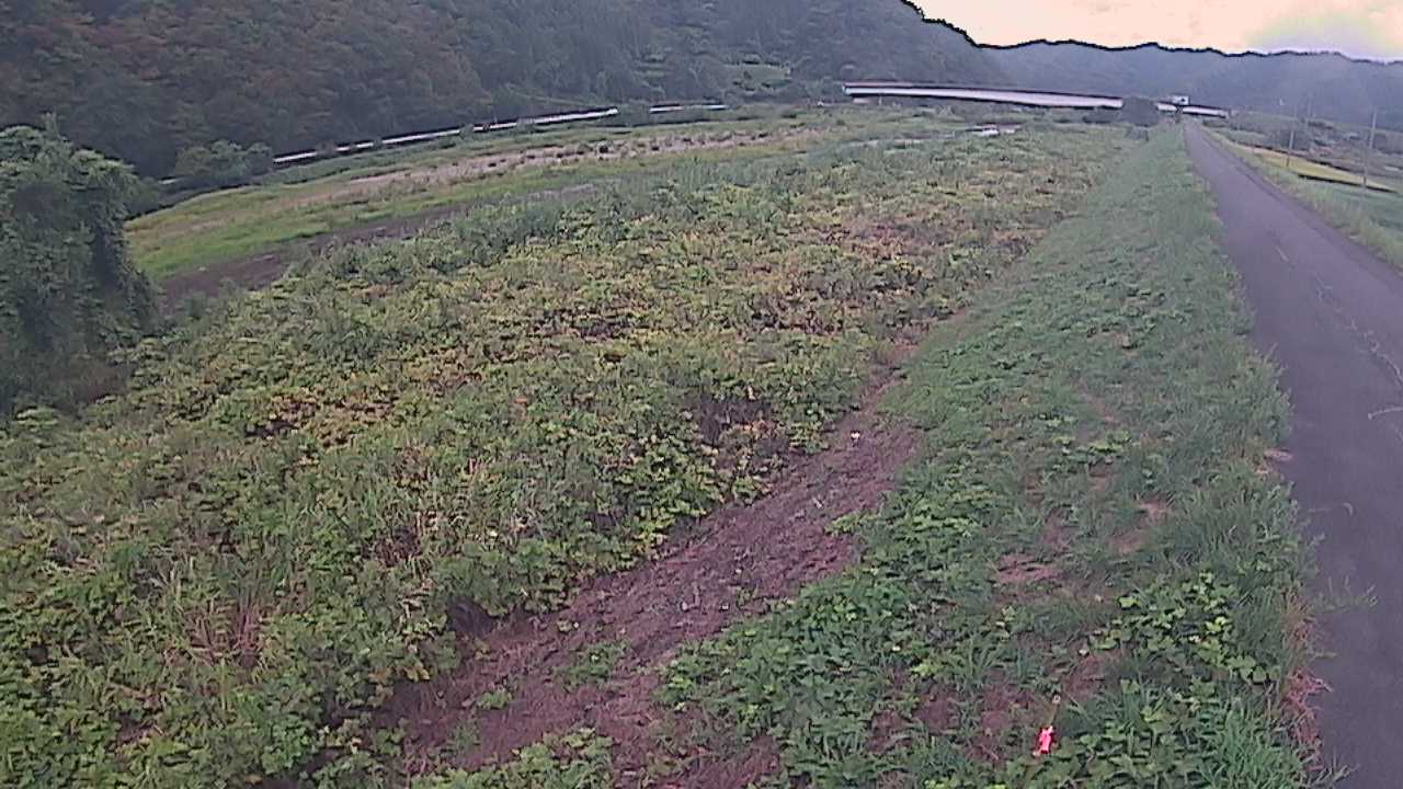 千代川　19ｋｍ左岸