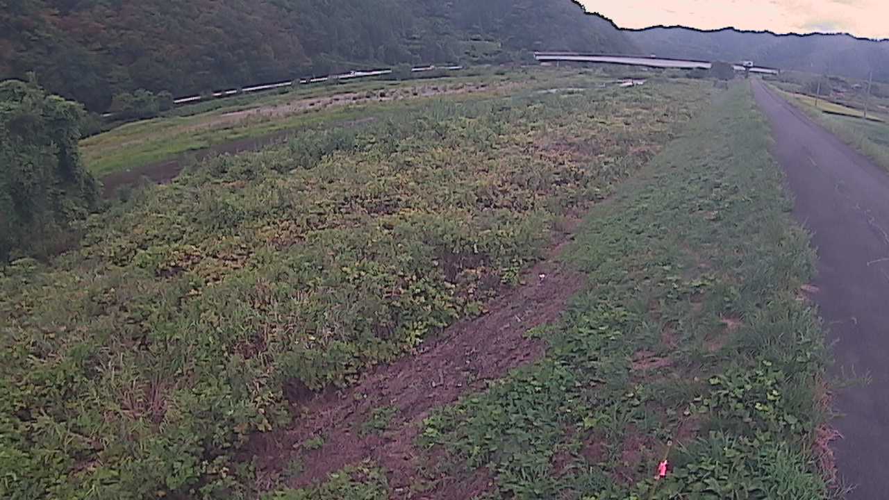 千代川　19ｋｍ左岸