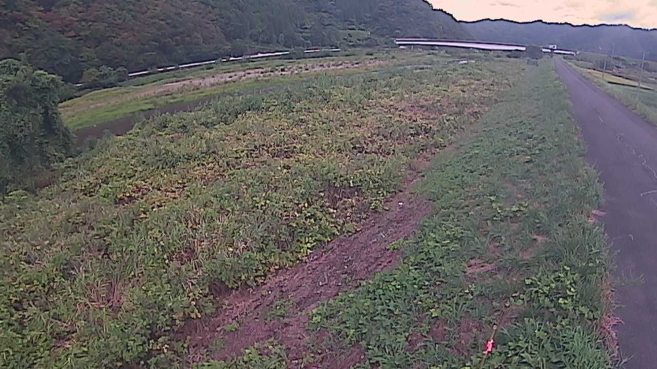 千代川　19ｋｍ左岸
