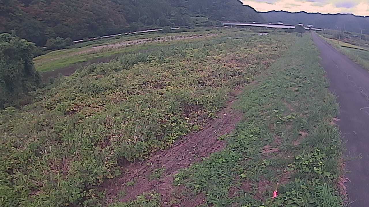 千代川　19ｋｍ左岸