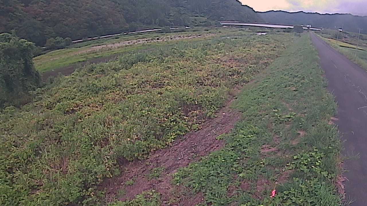 千代川　19ｋｍ左岸