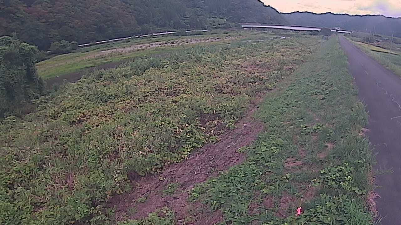 千代川　19ｋｍ左岸