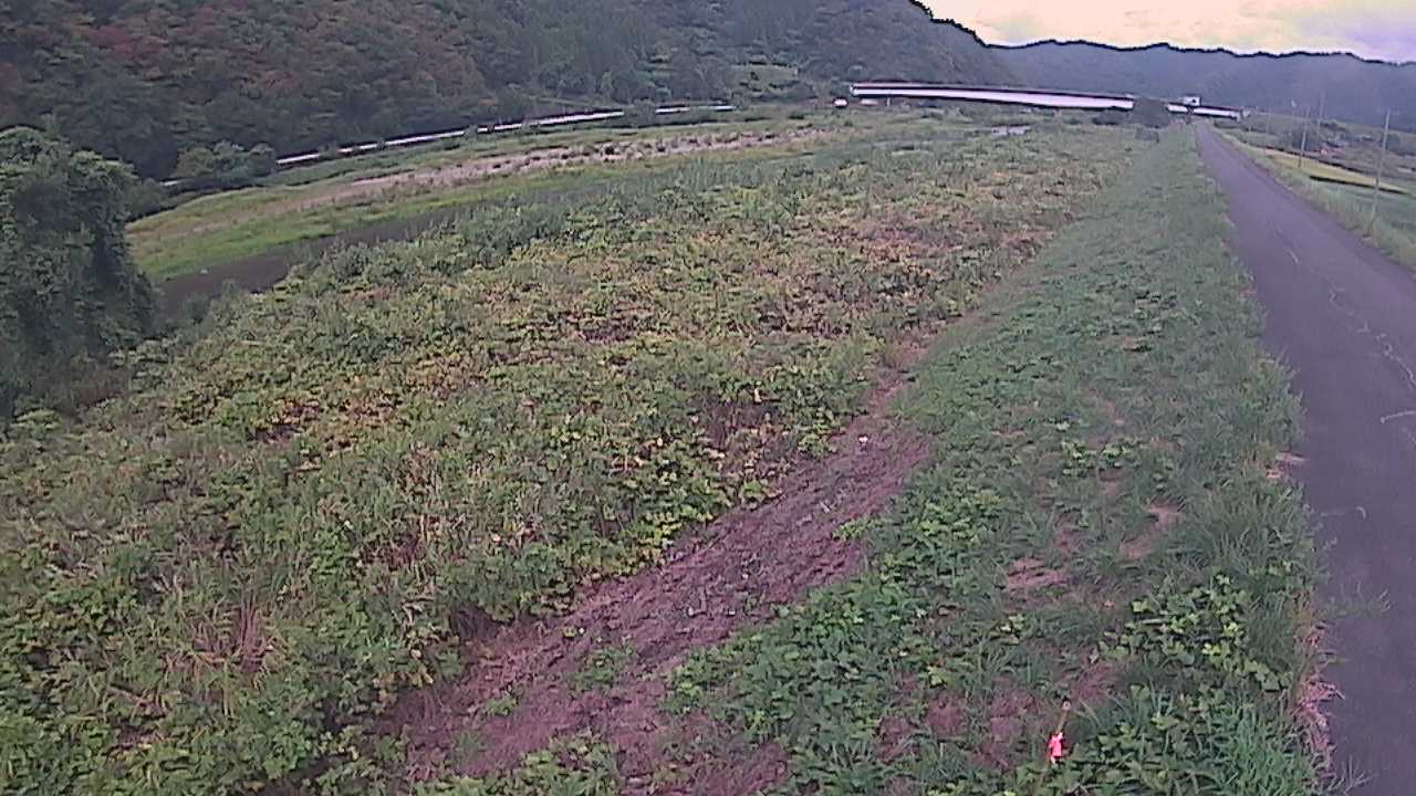 千代川　19ｋｍ左岸