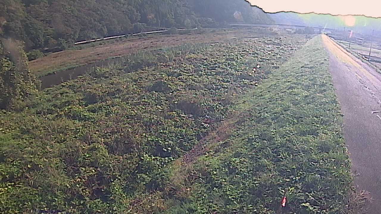 千代川　19ｋｍ左岸