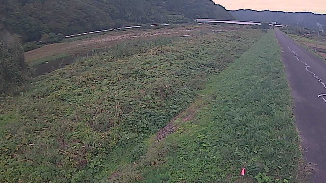 千代川　19ｋｍ左岸