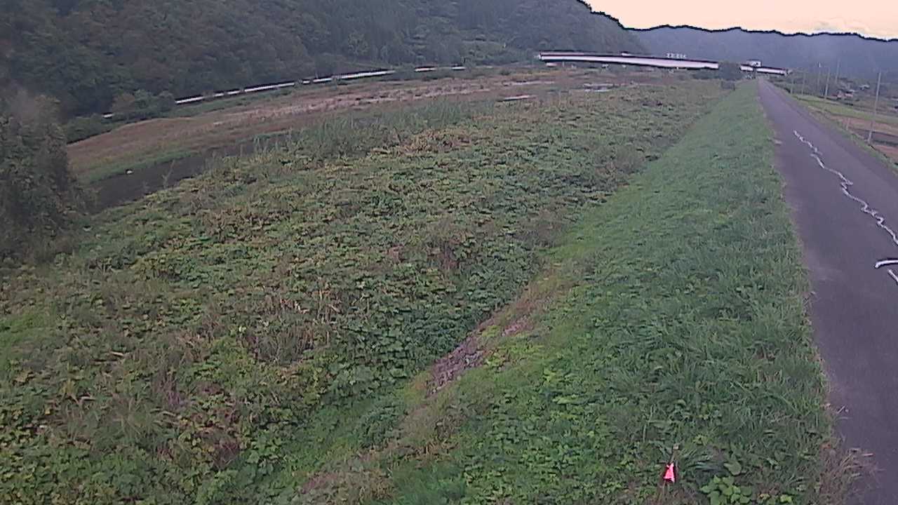 千代川　19ｋｍ左岸