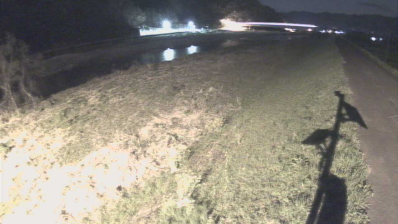 千代川　19ｋｍ左岸