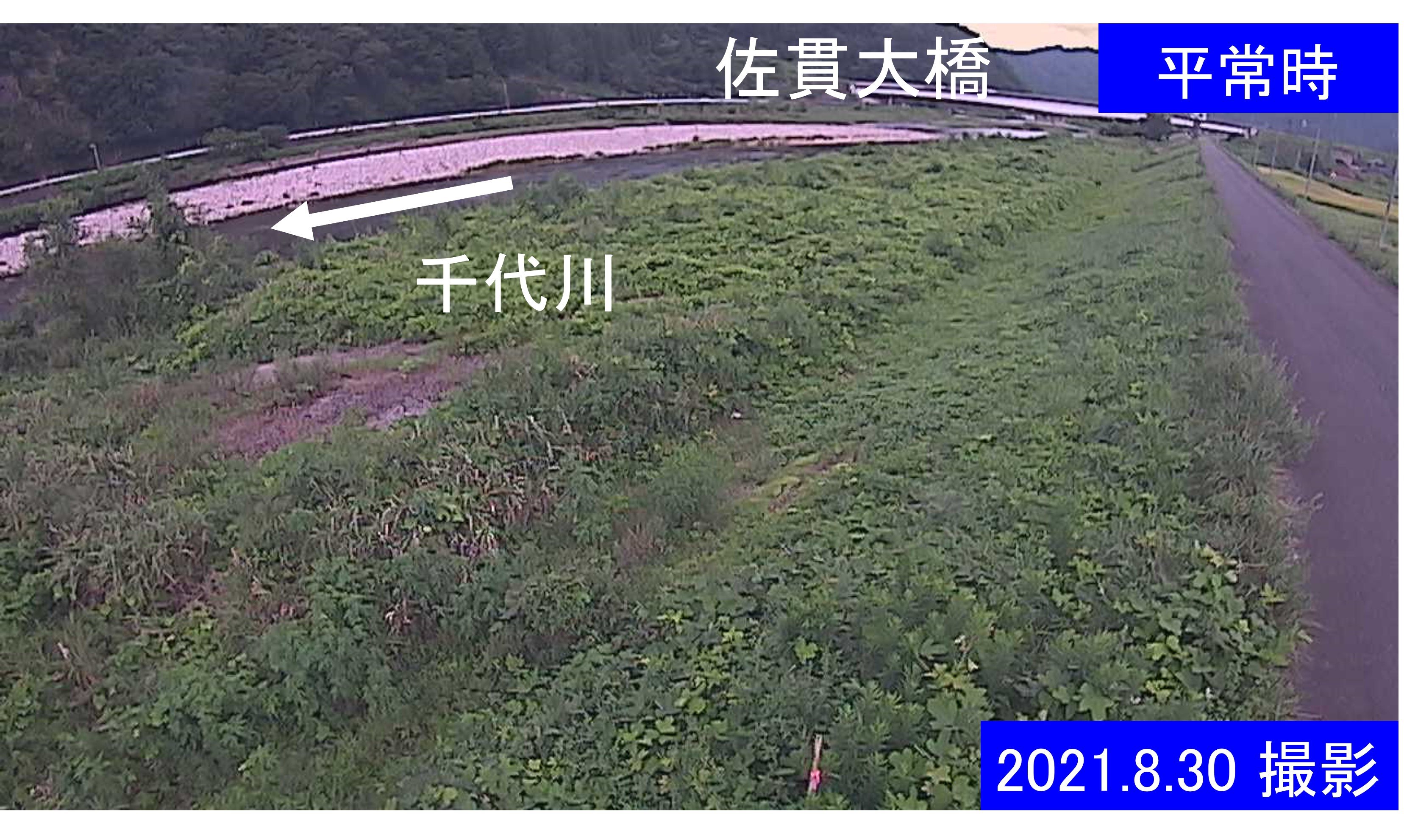千代川　19ｋｍ左岸(通常の水位)