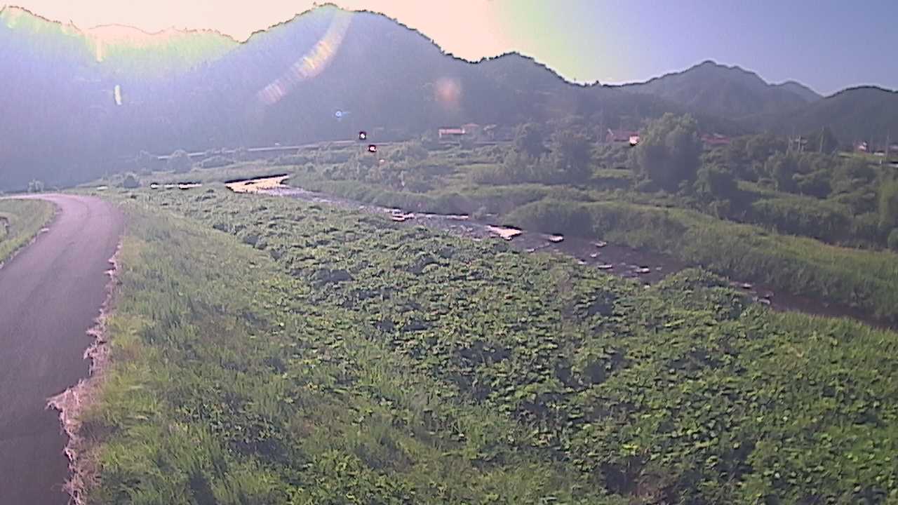 千代川　22.2ｋｍ左岸