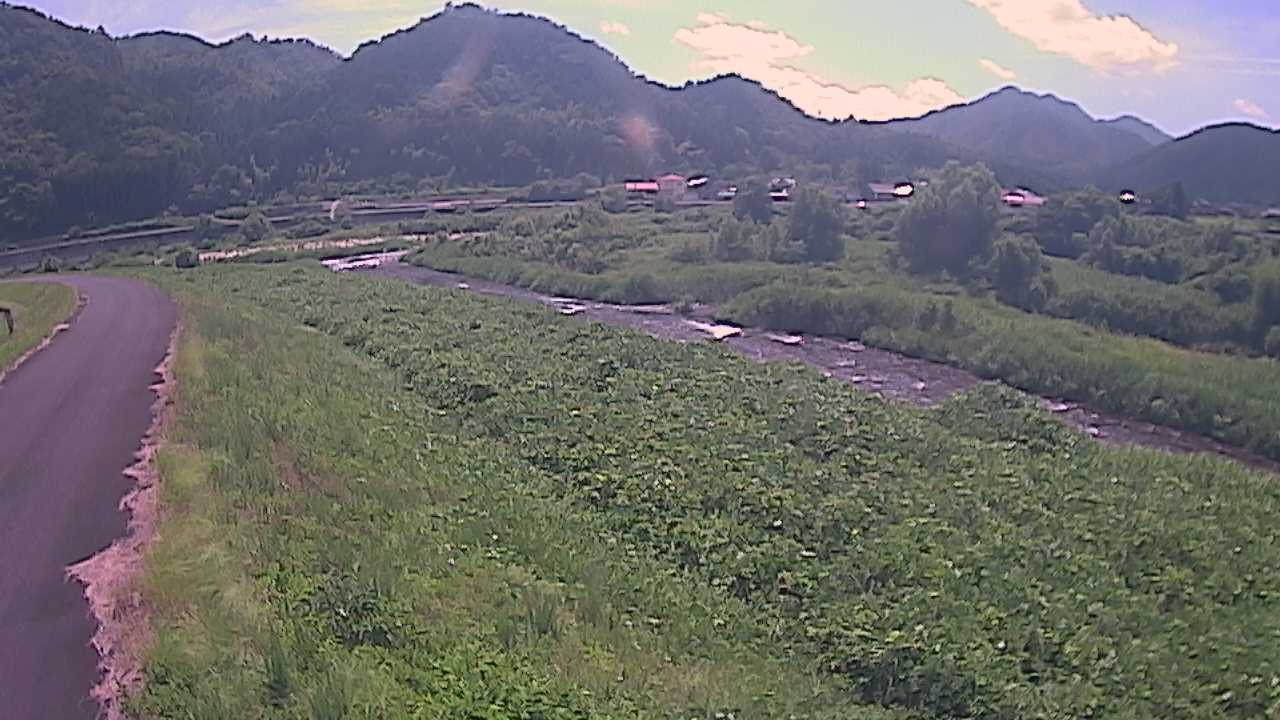 千代川　22.2ｋｍ左岸