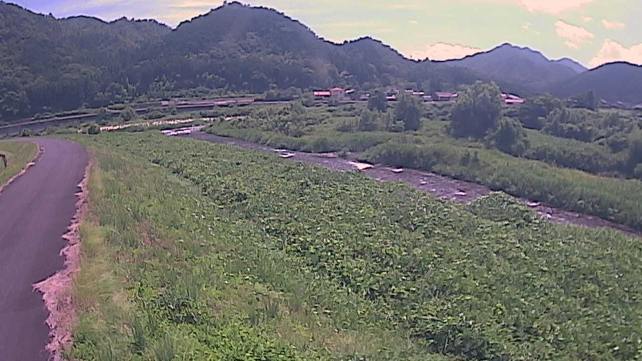 千代川　22.2ｋｍ左岸