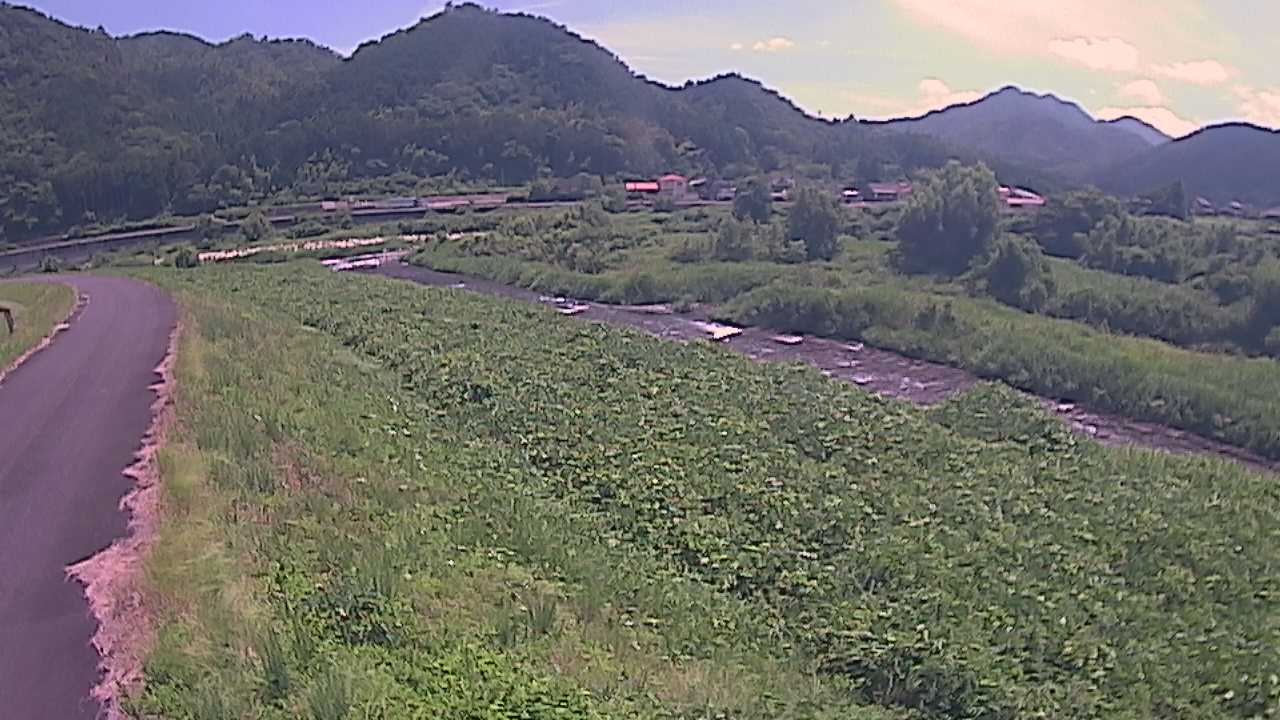 千代川　22.2ｋｍ左岸