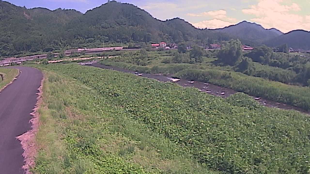千代川　22.2ｋｍ左岸