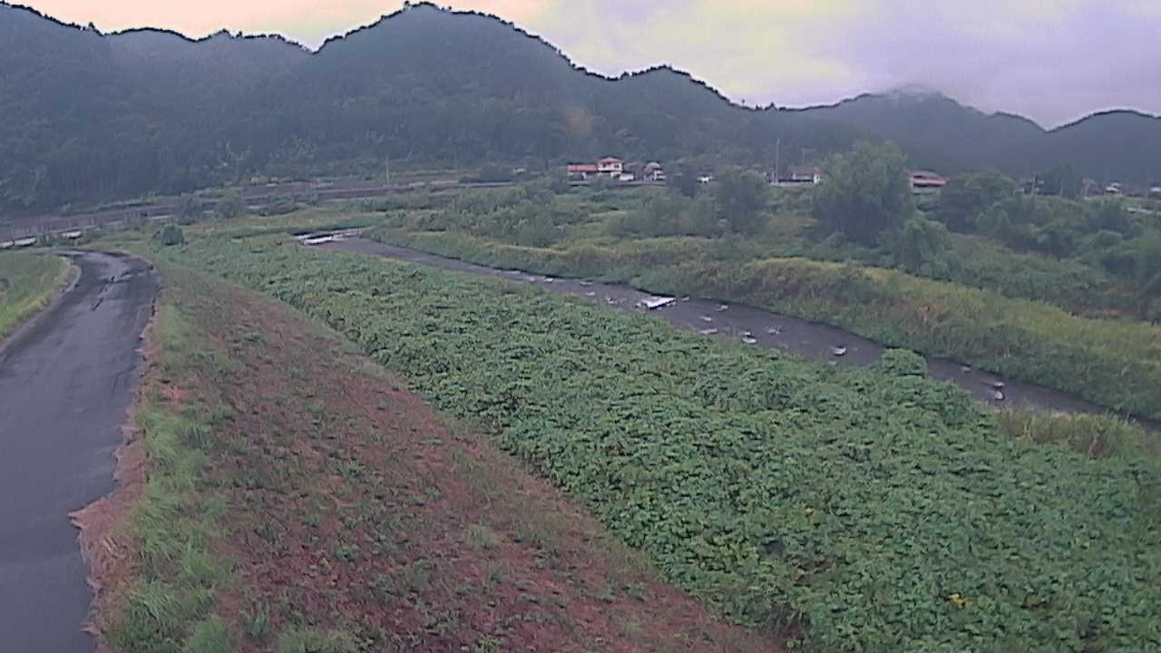 千代川　22.2ｋｍ左岸