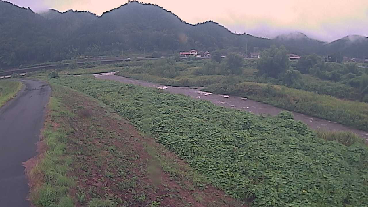 千代川　22.2ｋｍ左岸