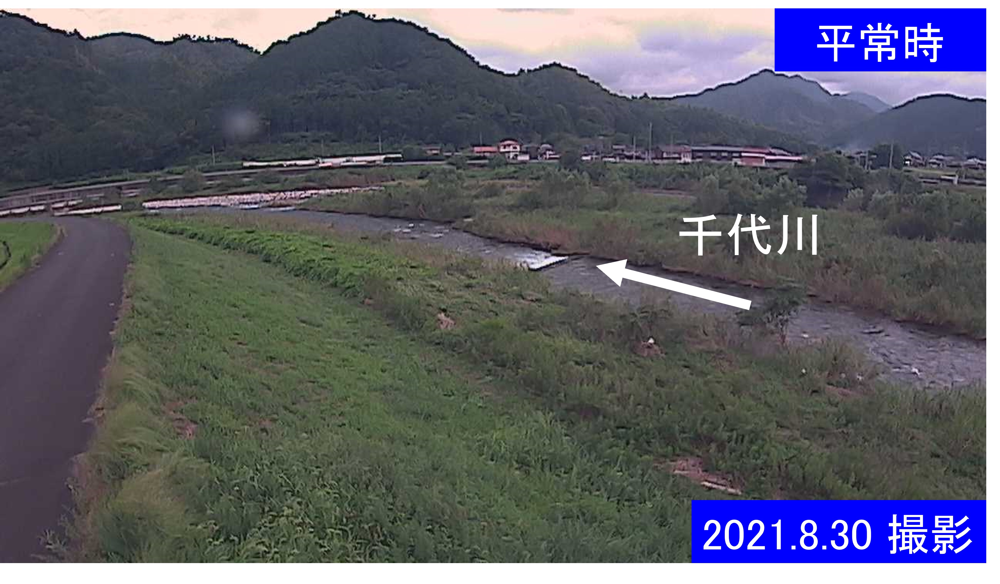 千代川　22.2ｋｍ左岸(通常の水位)