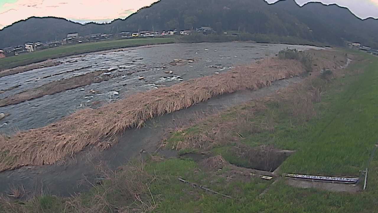 千代川　23.8ｋｍ左岸