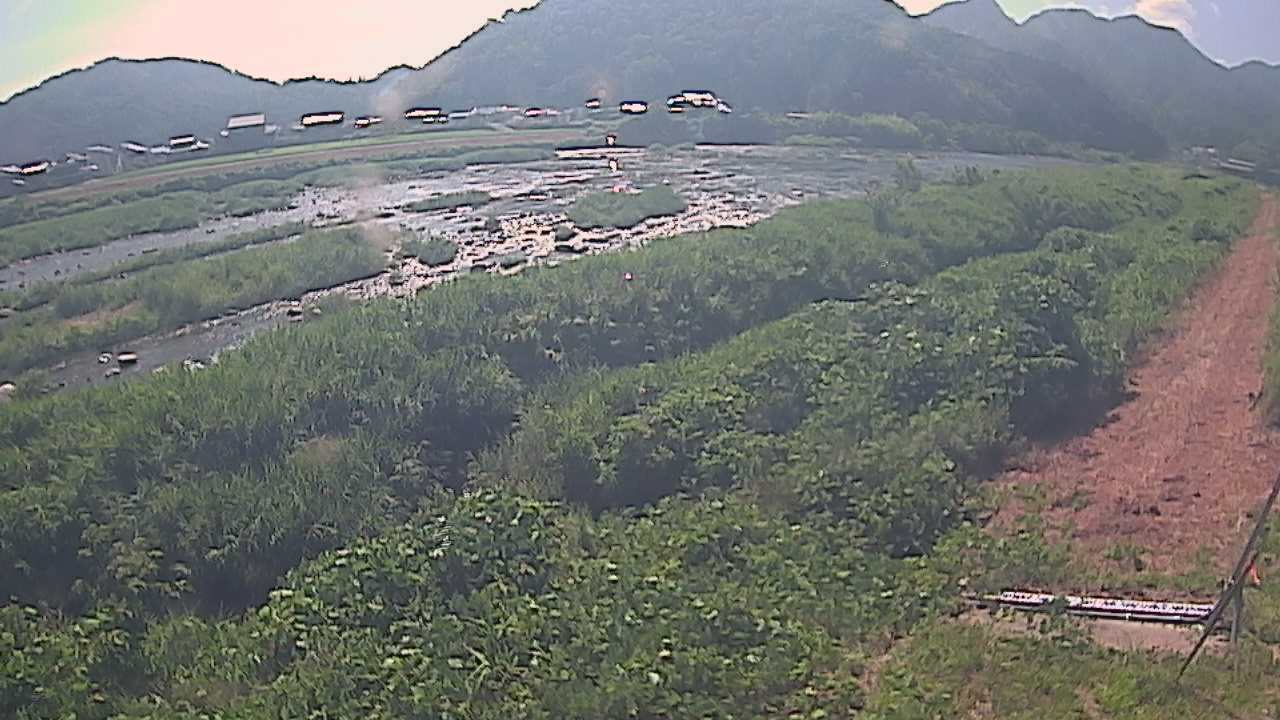 千代川　23.8ｋｍ左岸