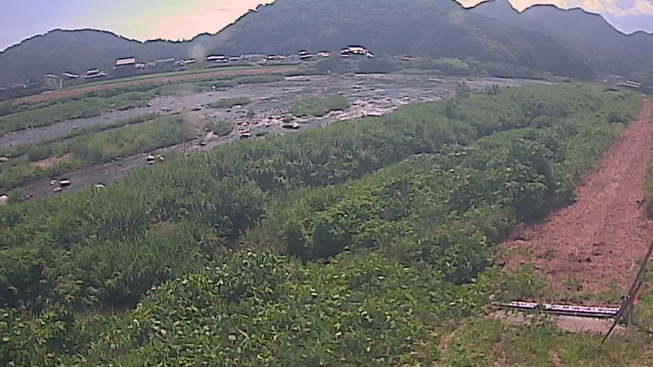 千代川　23.8ｋｍ左岸