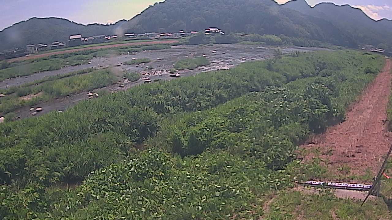 千代川　23.8ｋｍ左岸