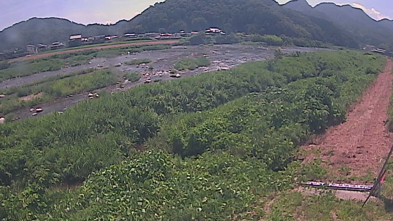 千代川　23.8ｋｍ左岸