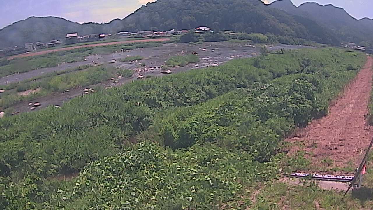 千代川　23.8ｋｍ左岸