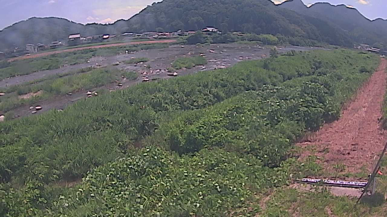 千代川　23.8ｋｍ左岸