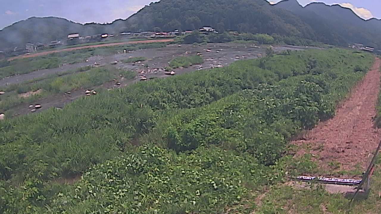 千代川　23.8ｋｍ左岸