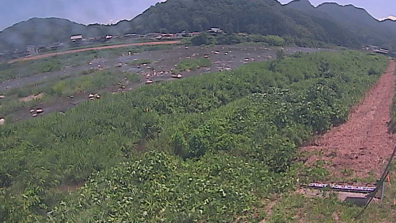 千代川　23.8ｋｍ左岸