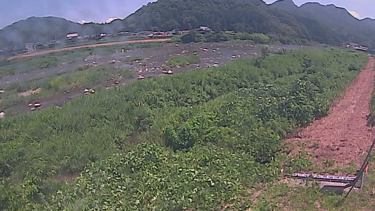 千代川　23.8ｋｍ左岸