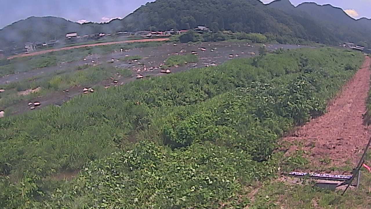 千代川　23.8ｋｍ左岸
