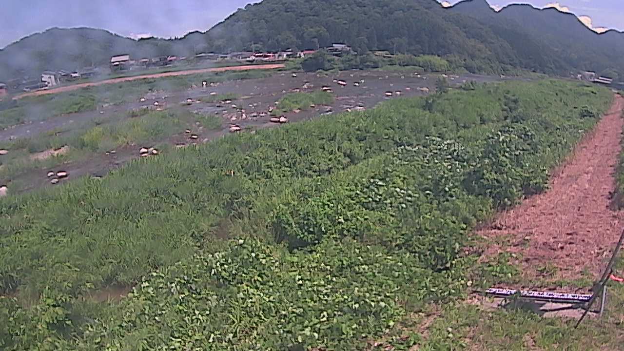 千代川　23.8ｋｍ左岸