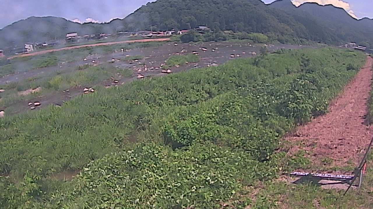千代川　23.8ｋｍ左岸