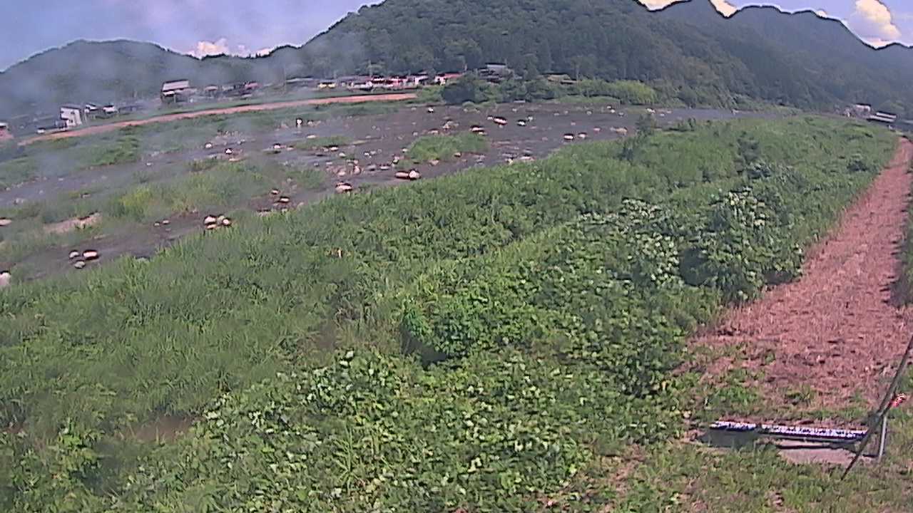 千代川　23.8ｋｍ左岸