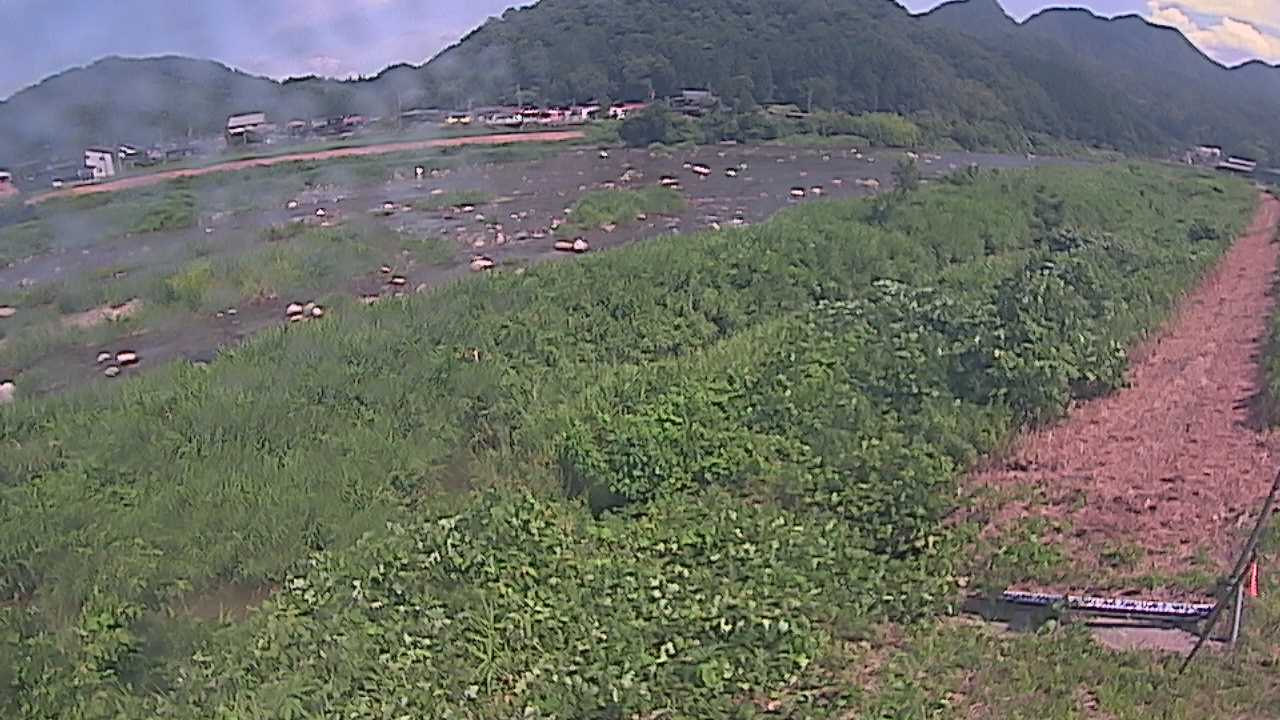 千代川　23.8ｋｍ左岸