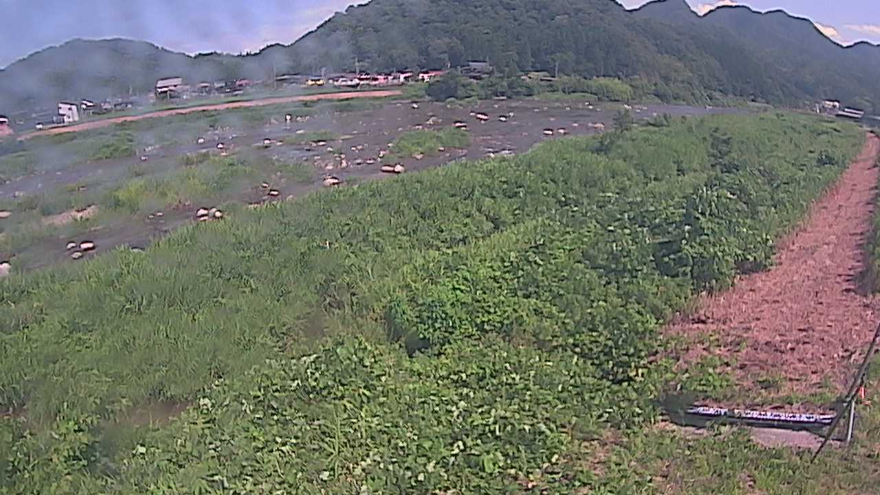 千代川　23.8ｋｍ左岸