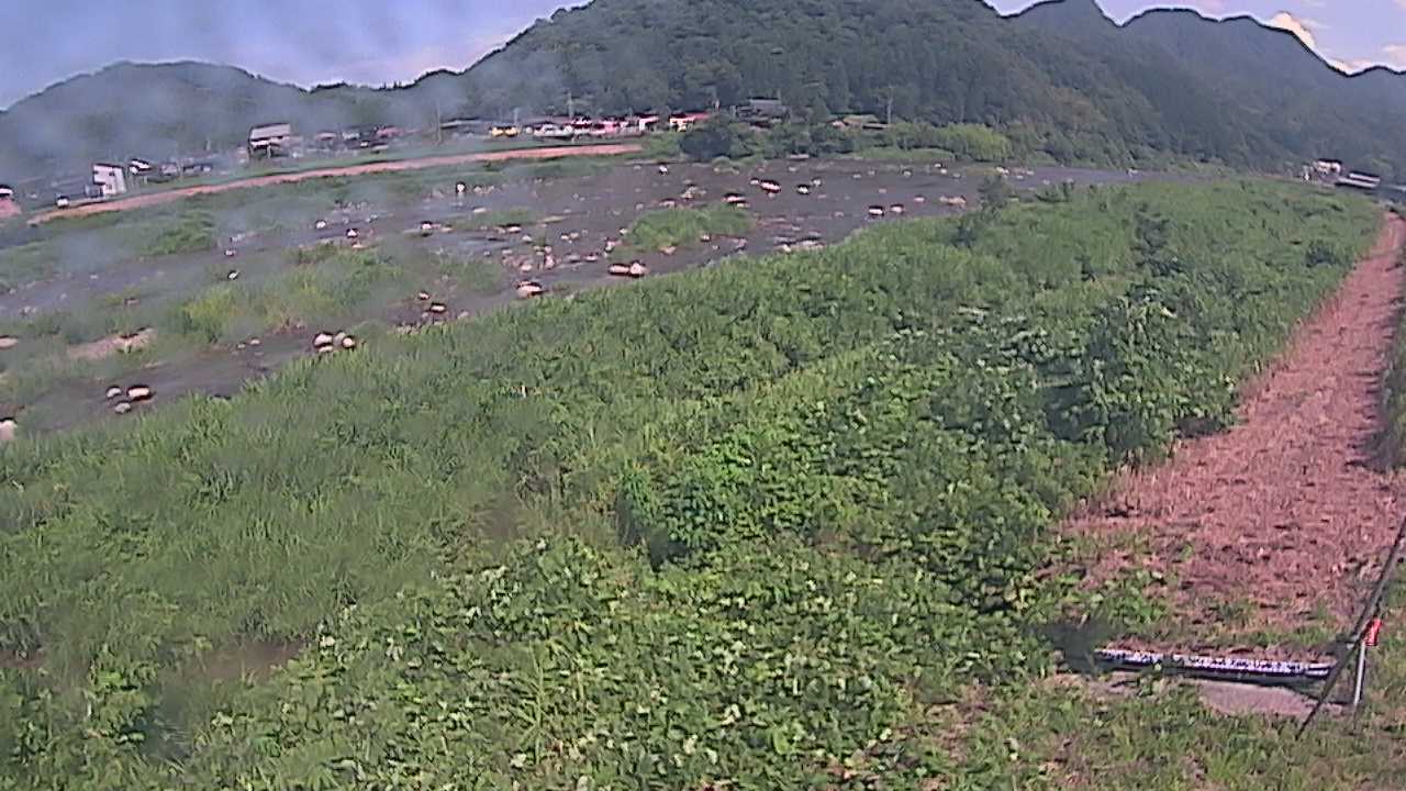 千代川　23.8ｋｍ左岸