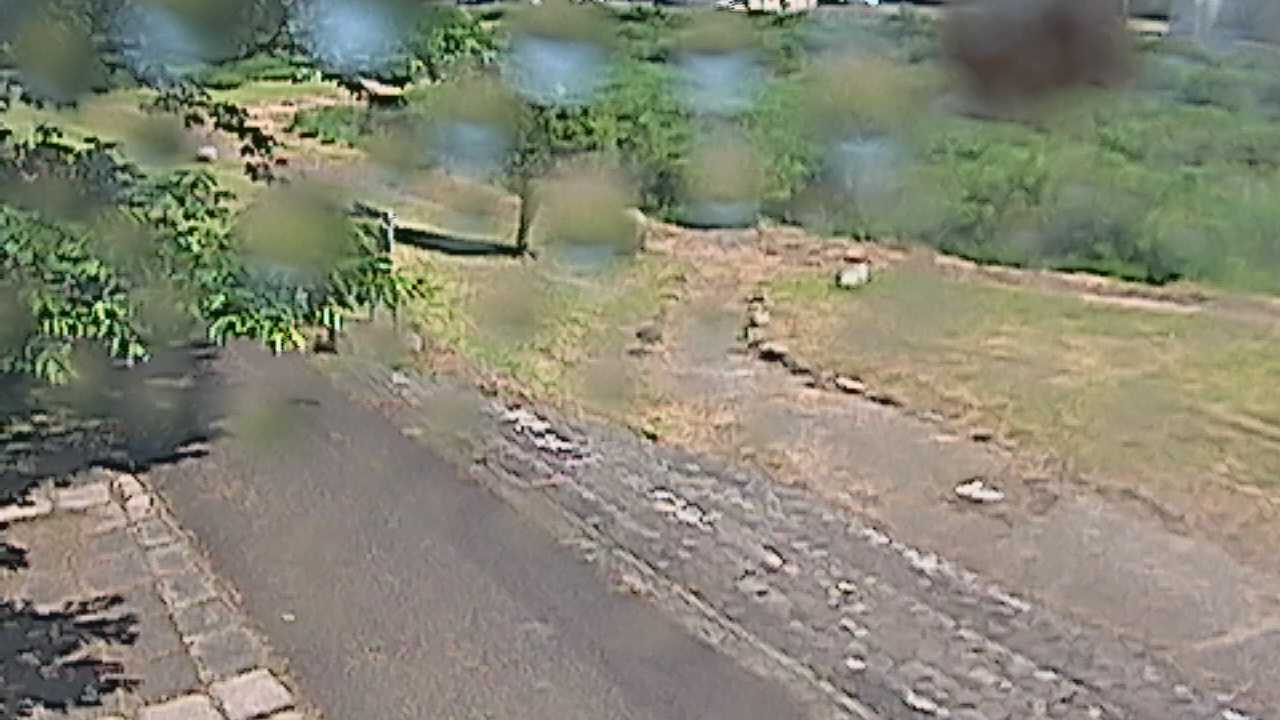 新袋川・袋川　6.2ｋｍ左岸